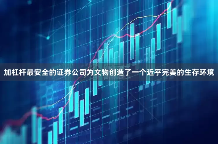 加杠杆最安全的证券公司为文物创造了一个近乎完美的生存环境