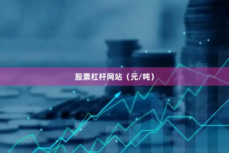 股票杠杆网站（元/吨）