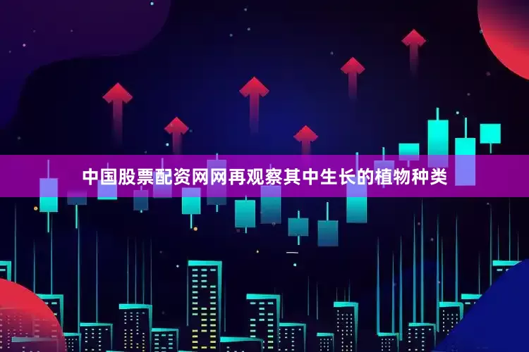 中国股票配资网网再观察其中生长的植物种类