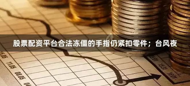 股票配资平台合法冻僵的手指仍紧扣零件；台风夜