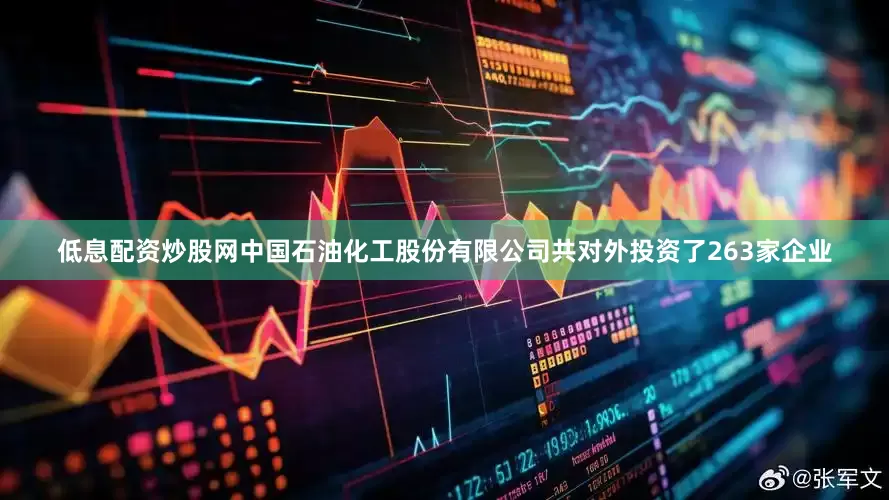 低息配资炒股网中国石油化工股份有限公司共对外投资了263家企业