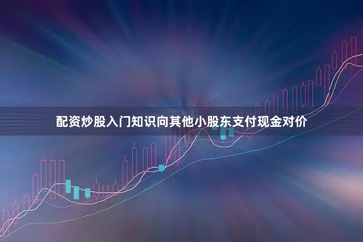 配资炒股入门知识向其他小股东支付现金对价