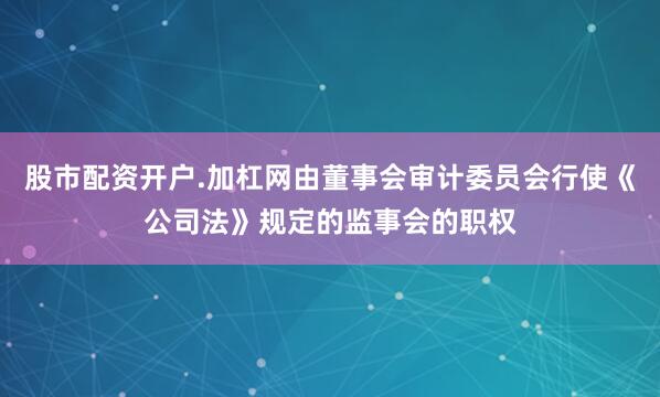 股市配资开户.加杠网由董事会审计委员会行使《公司法》规定的监事会的职权